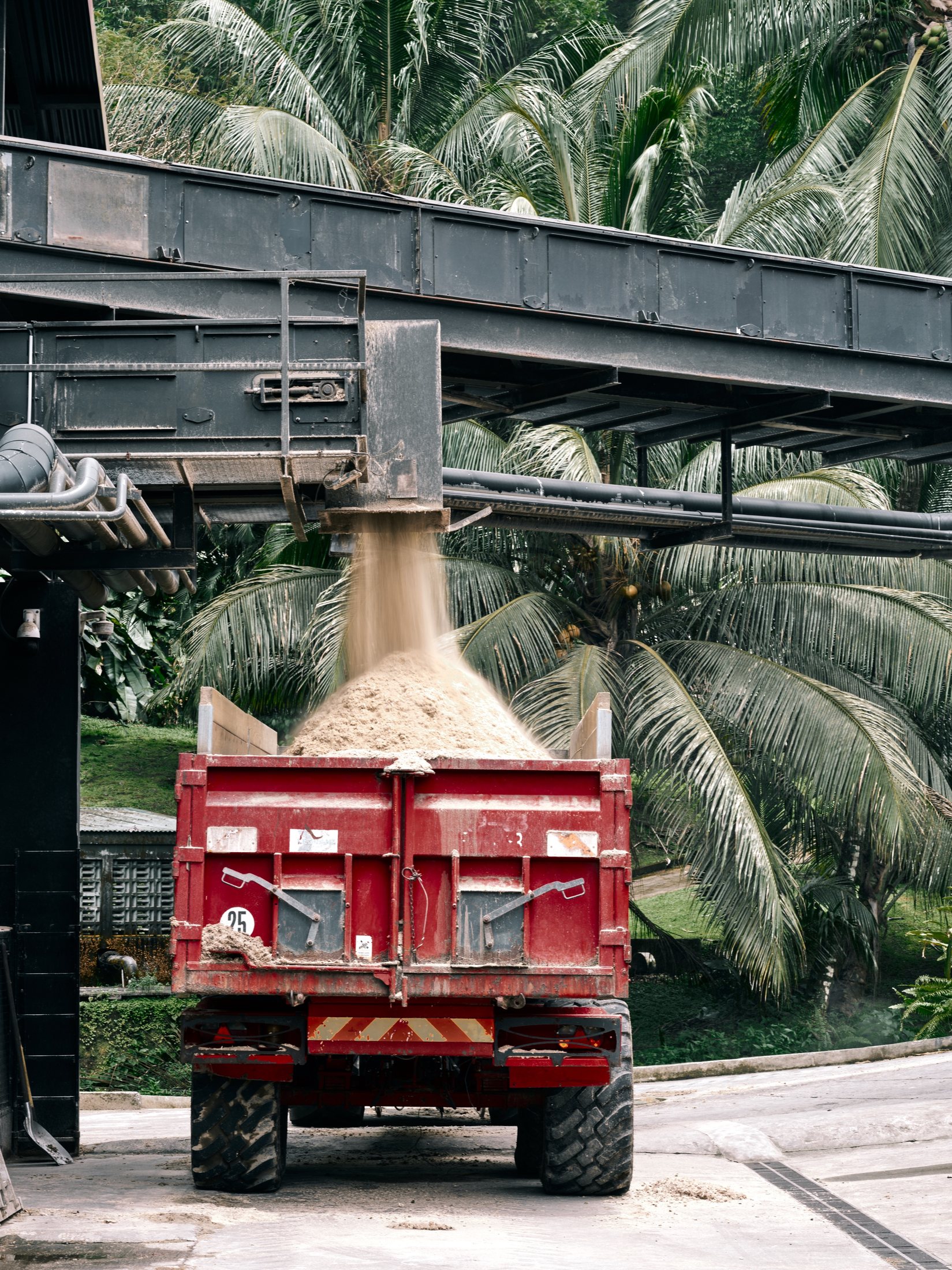 Benne de canne à sucre sous le convoyeur de la distillerie — photographie Romain Cruse