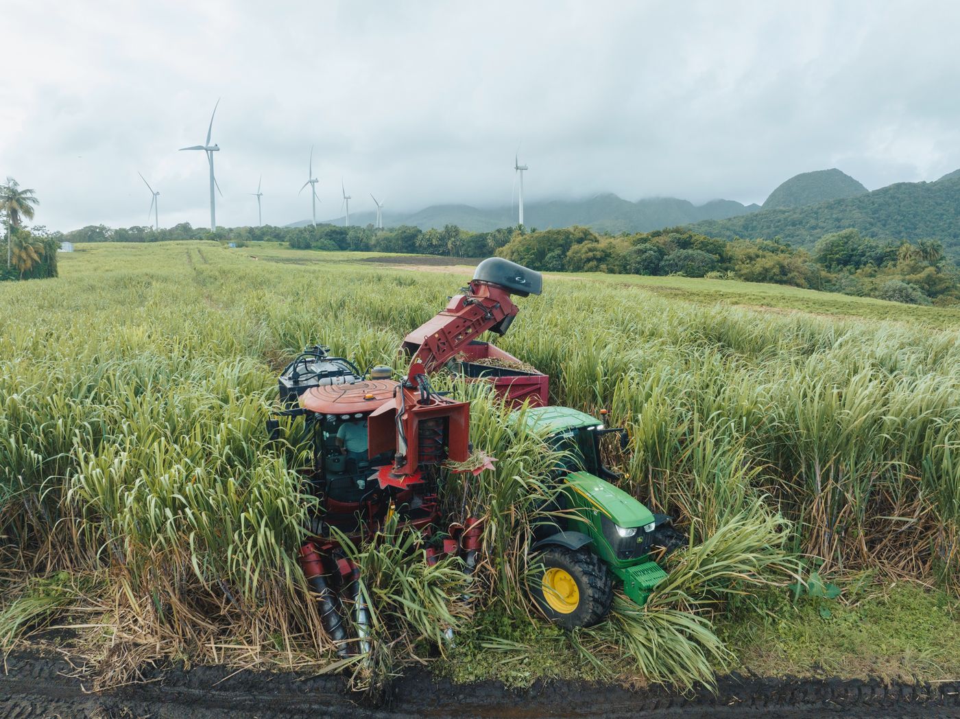 Machine de récolte dans les champs de canne — photographie Romain Cruse